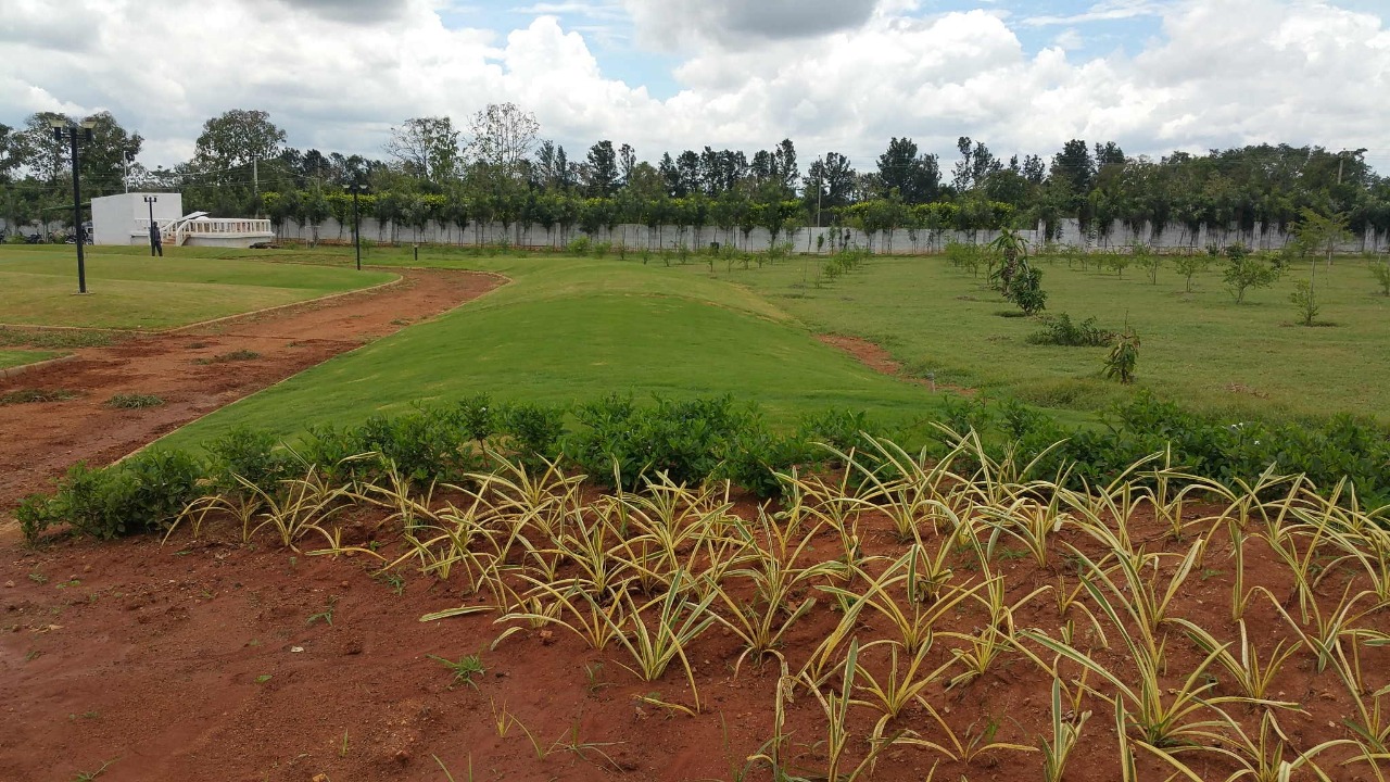 Lokish Garden